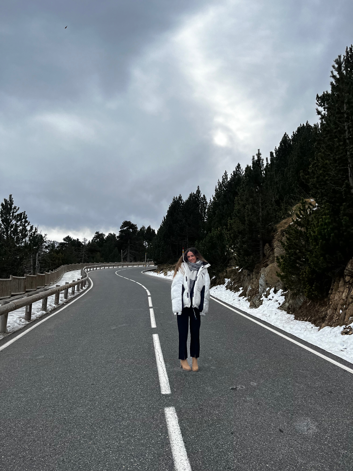 Carretera de montaña entre pinos y nieve