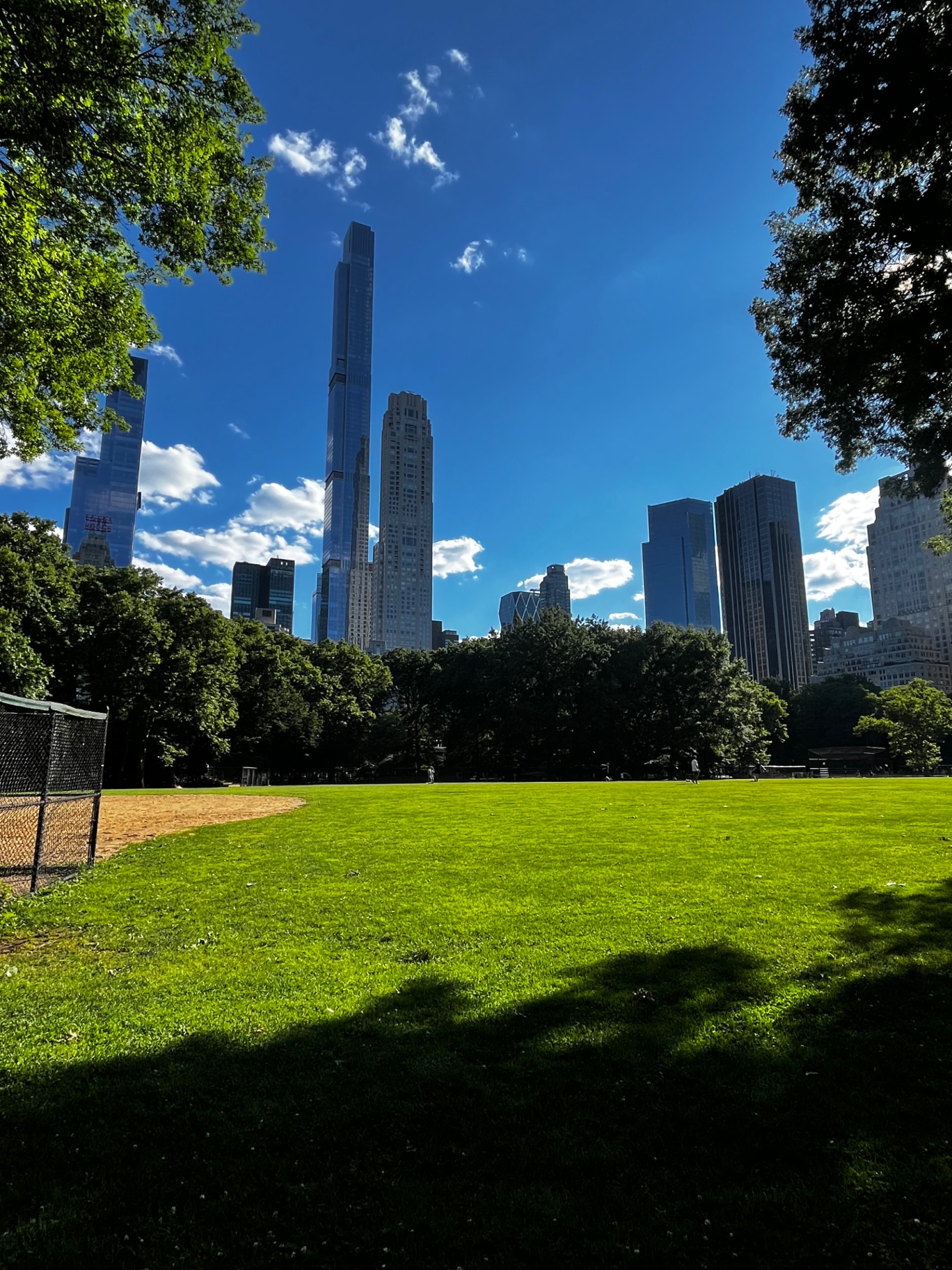 Central Park con el skyline de Midtown asomando entre los árboles