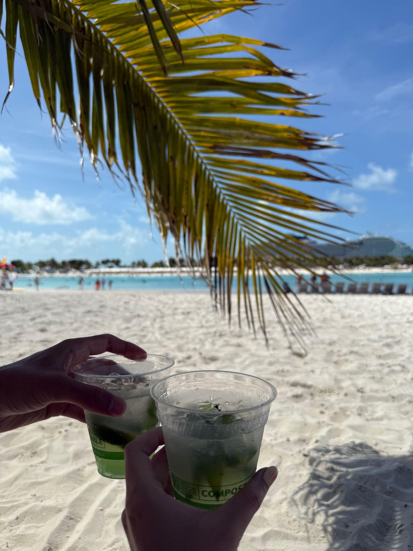 Mojitos al pie de la palmera frente al lagoon